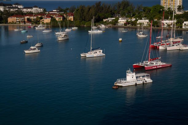 Montego Bays  Best Rum Distilleries